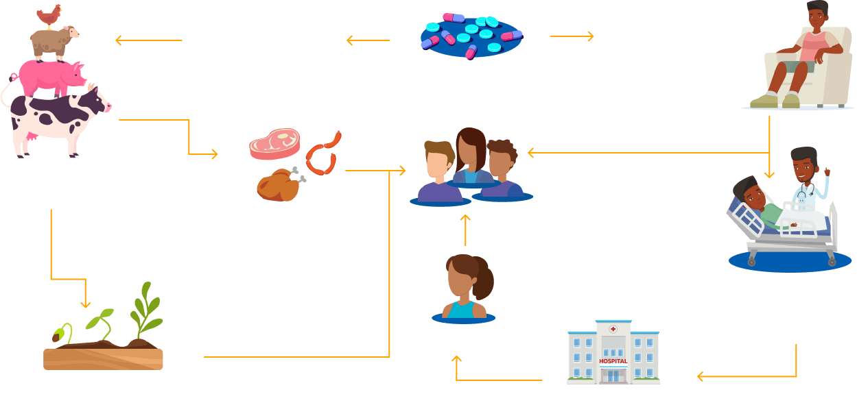 How antibiotic resistance spreads